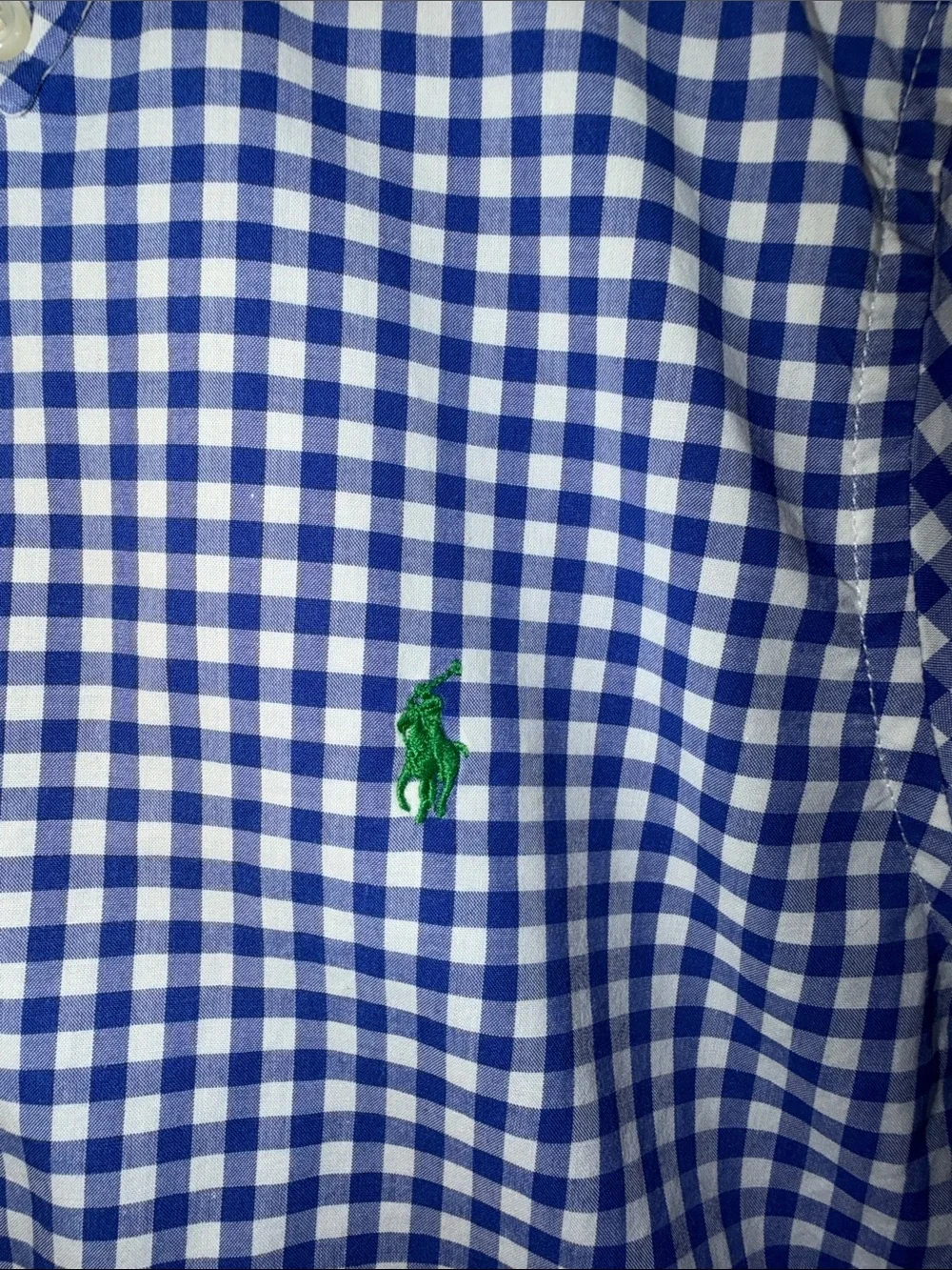 Ralph Lauren Boy's Blue and White Gingham Button-Down Shirt